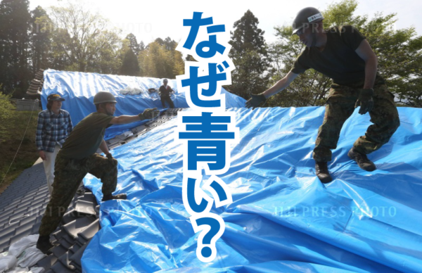 「ブルーシート」はなぜ青い?