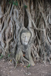 タイの世界遺産「アユタヤ」のアユタヤってどういう意味？